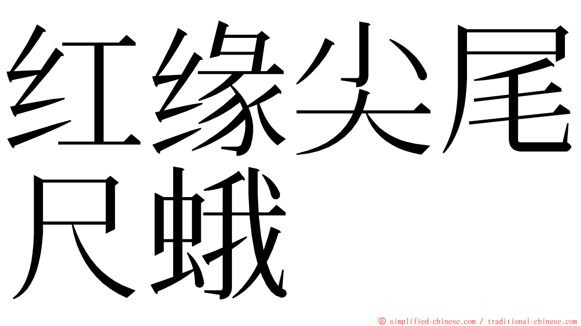红缘尖尾尺蛾 ming font