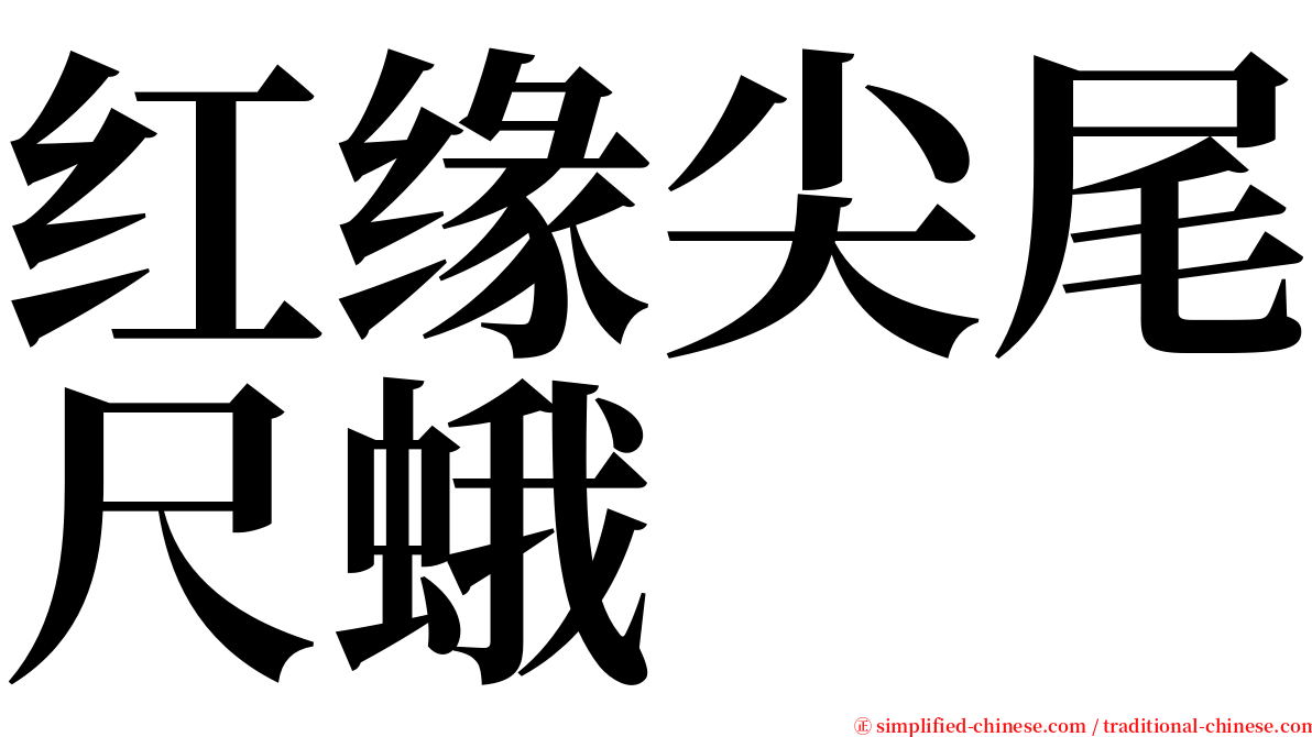 红缘尖尾尺蛾 serif font
