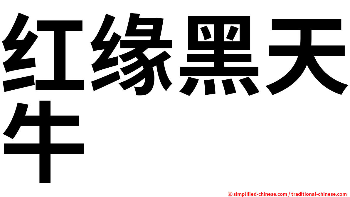 红缘黑天牛