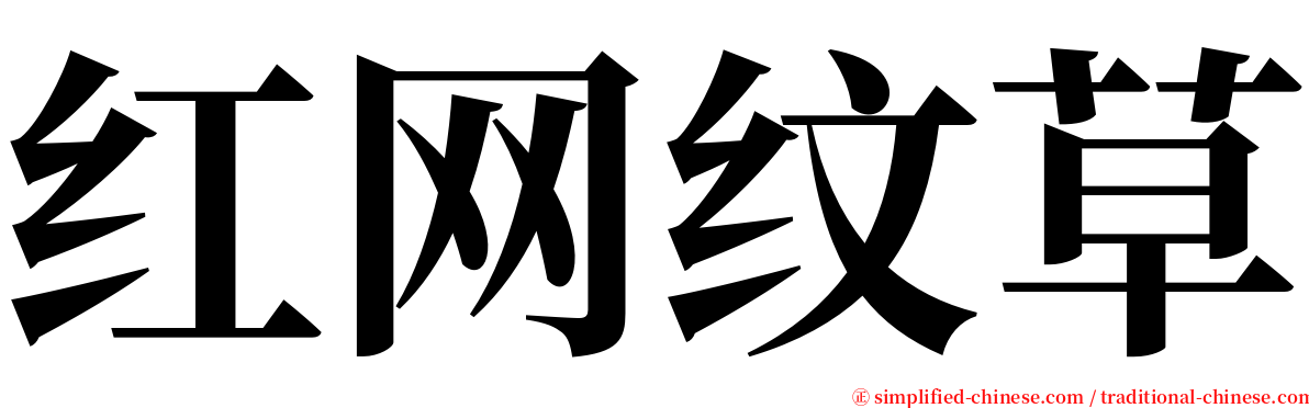 红网纹草 serif font