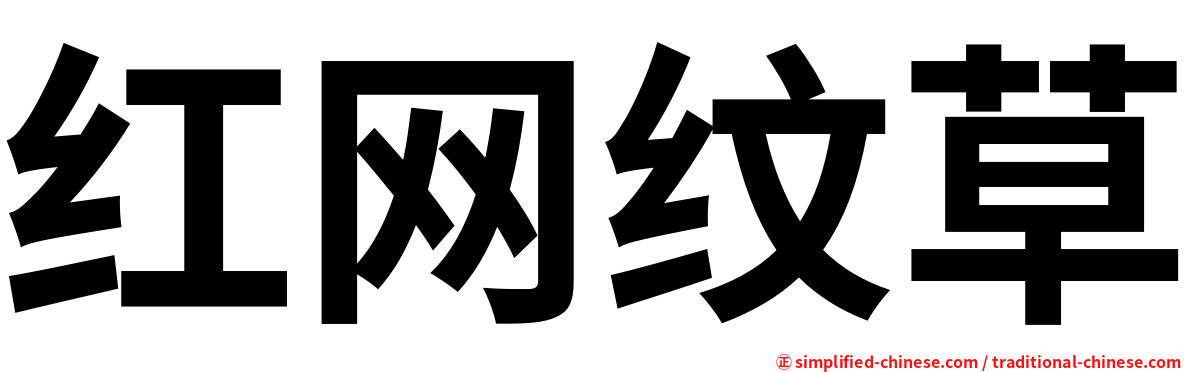 红网纹草
