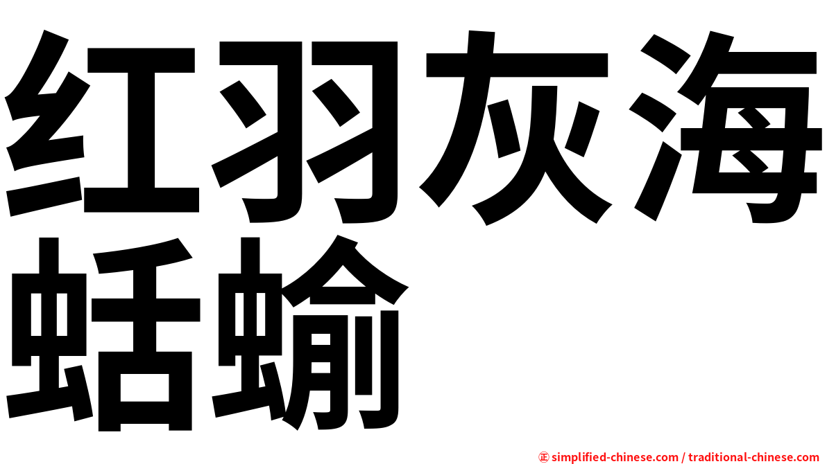 红羽灰海蛞蝓