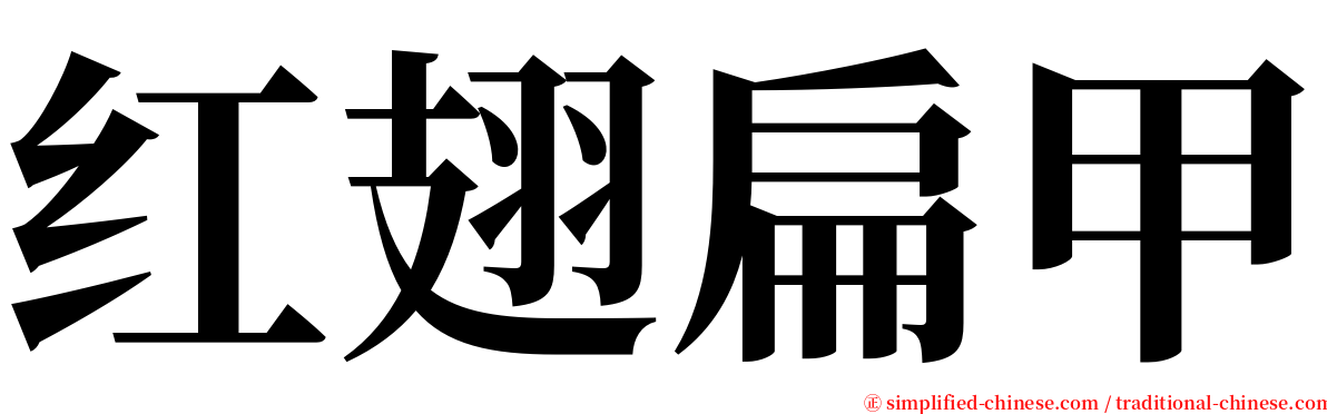 红翅扁甲 serif font