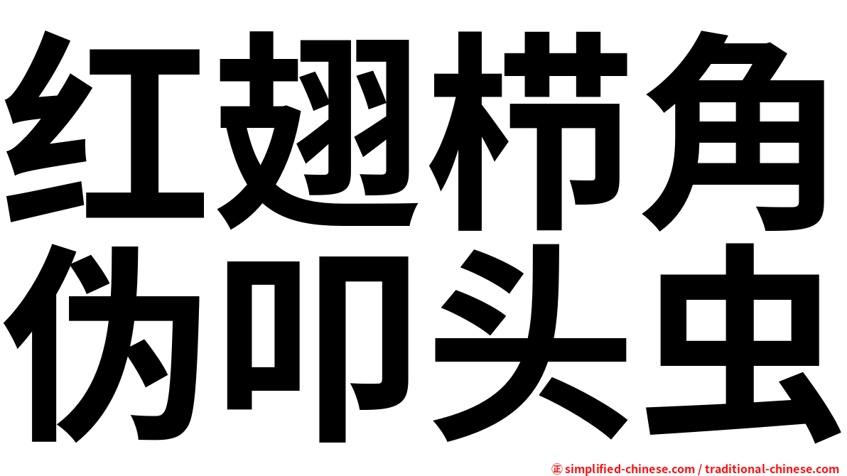 红翅栉角伪叩头虫