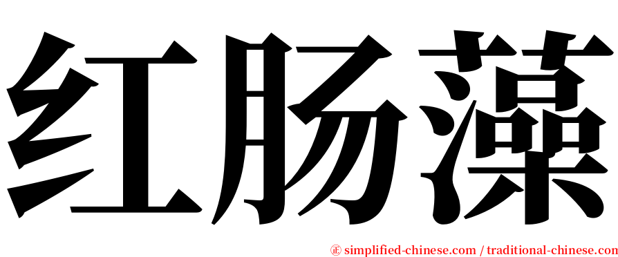 红肠藻 serif font