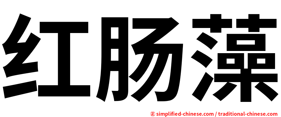 红肠藻
