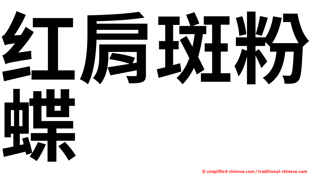 红肩斑粉蝶