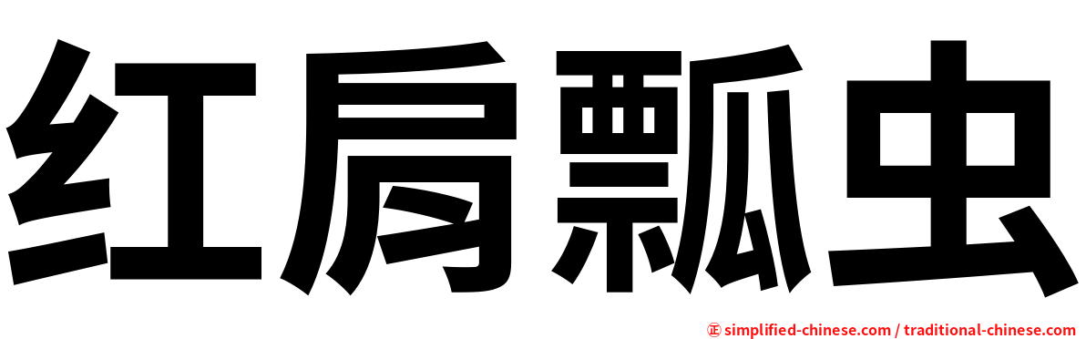 红肩瓢虫