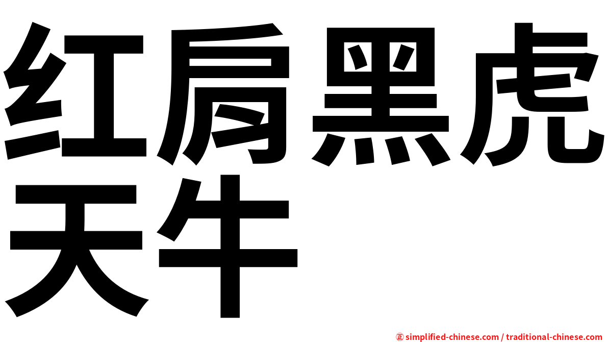 红肩黑虎天牛