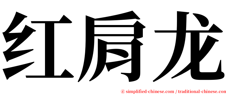 红肩龙 serif font
