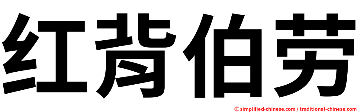红背伯劳