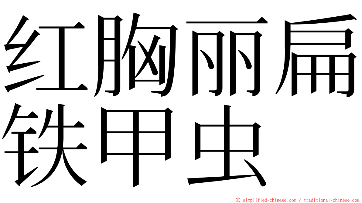 红胸丽扁铁甲虫 ming font