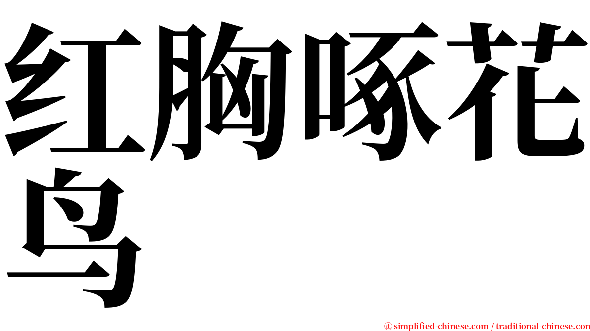 红胸啄花鸟 serif font