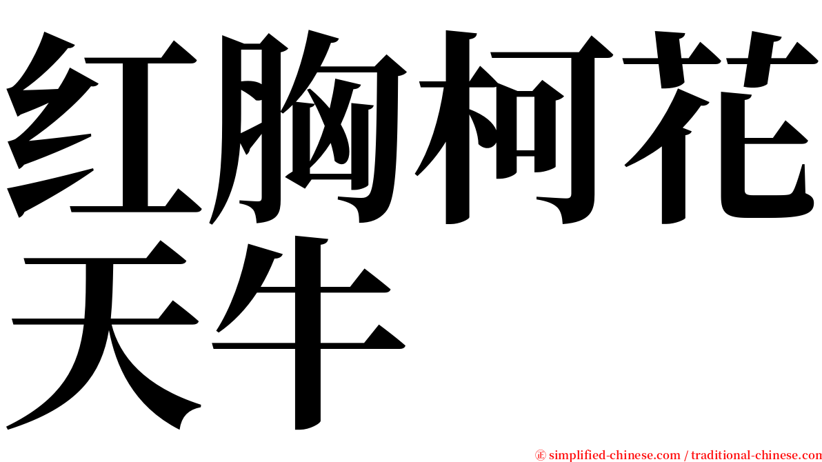 红胸柯花天牛 serif font
