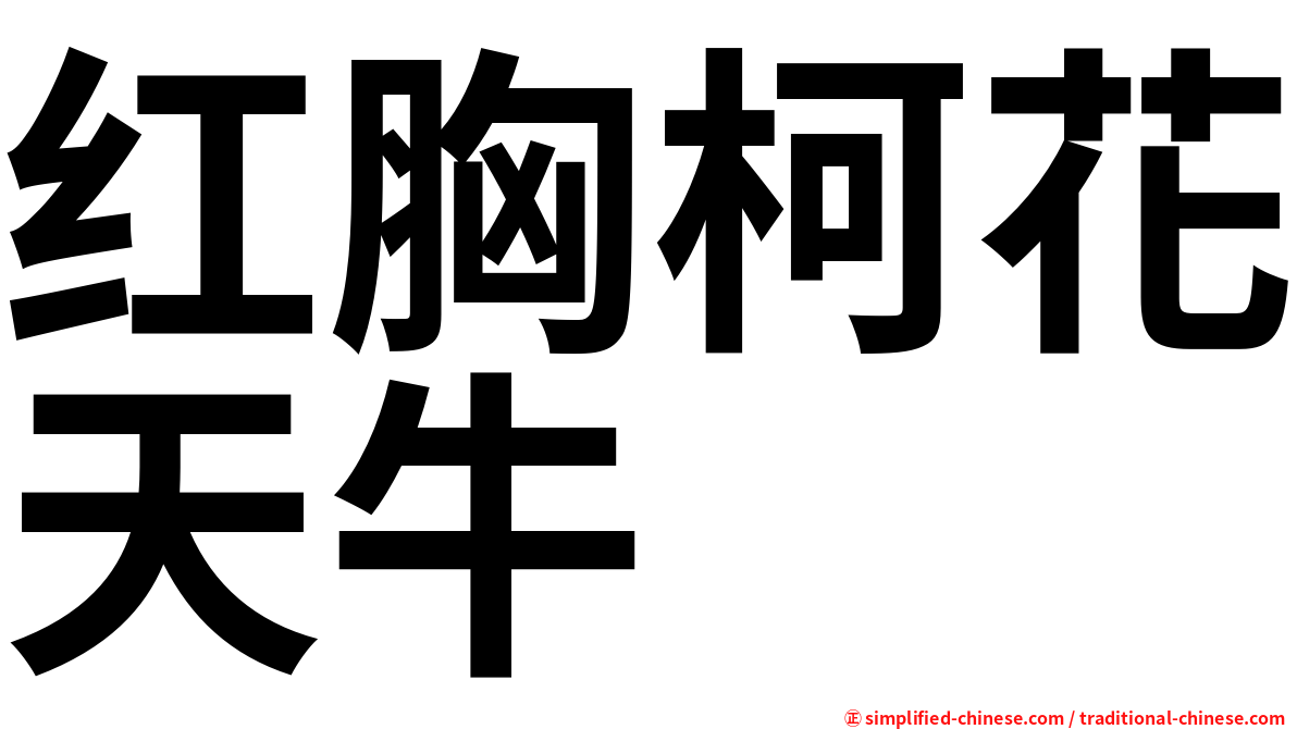 红胸柯花天牛