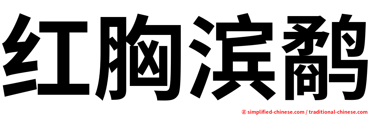 红胸滨鹬
