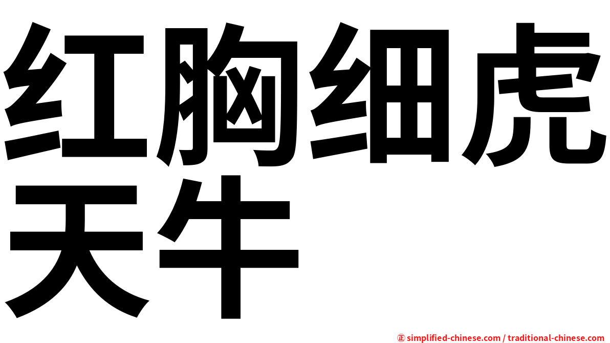 红胸细虎天牛