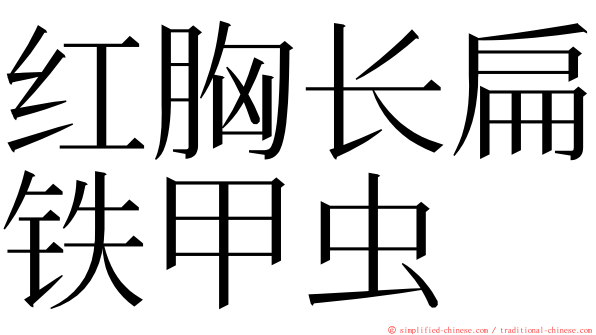 红胸长扁铁甲虫 ming font