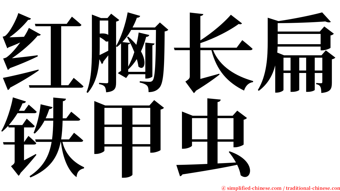 红胸长扁铁甲虫 serif font