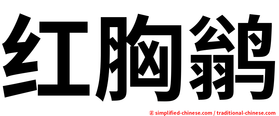 红胸鹟