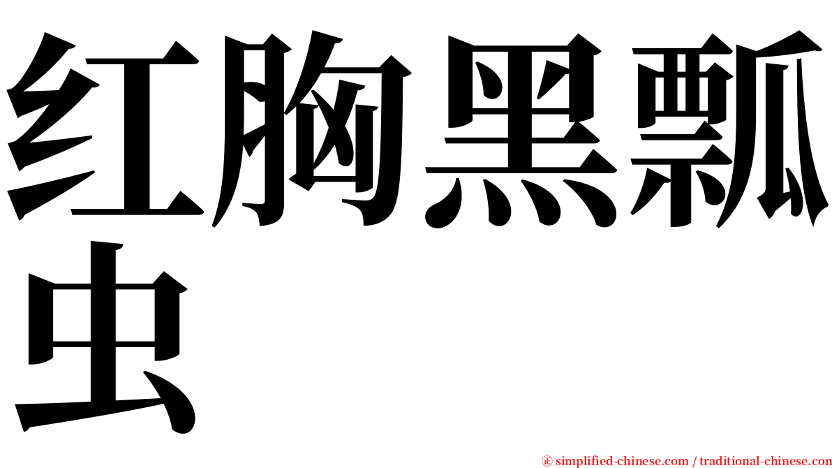 红胸黑瓢虫 serif font