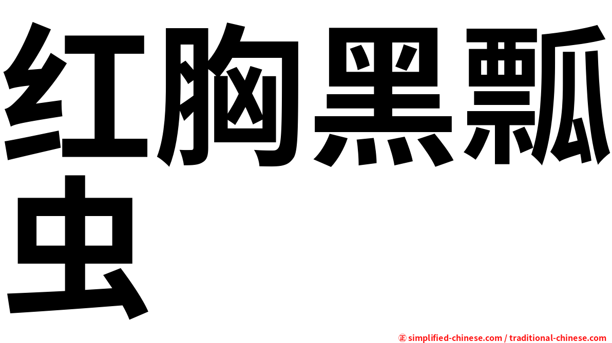 红胸黑瓢虫