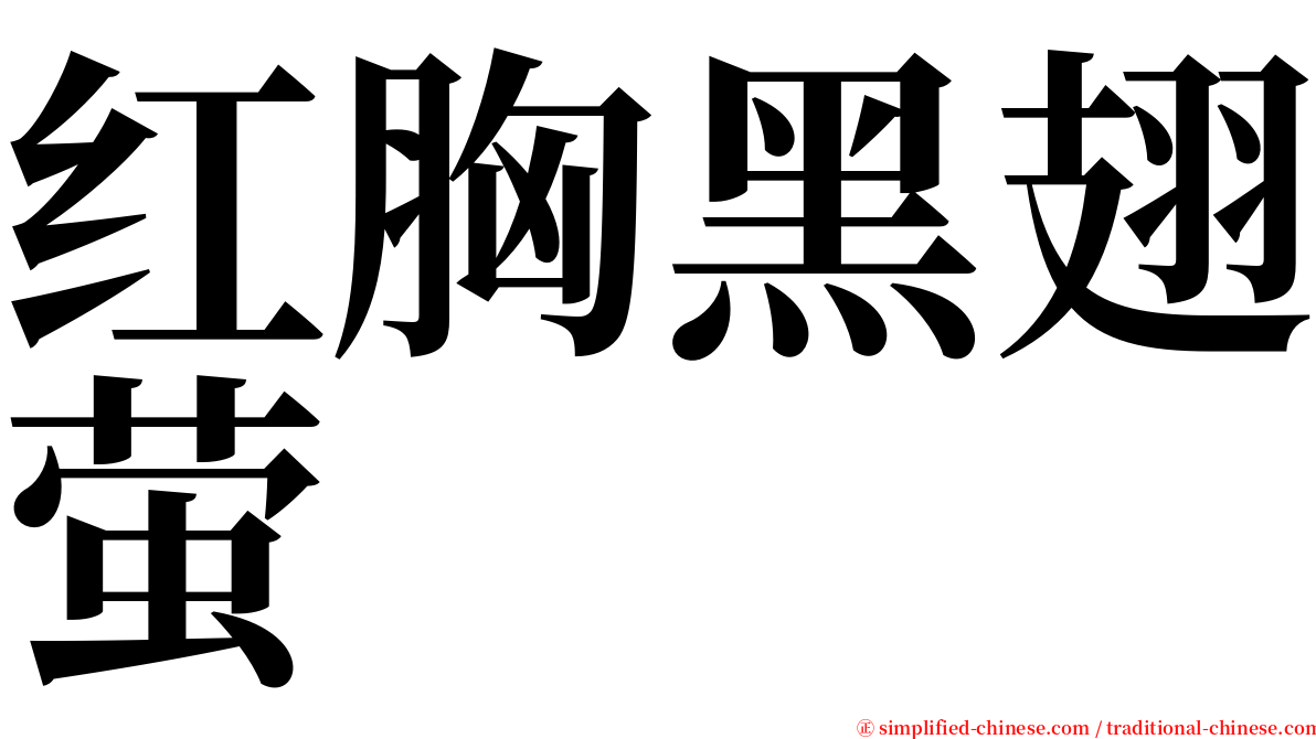 红胸黑翅萤 serif font