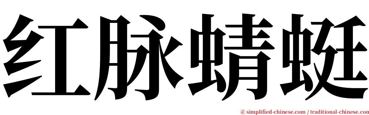 红脉蜻蜓 serif font