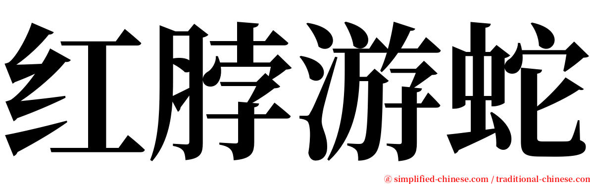 红脖游蛇 serif font
