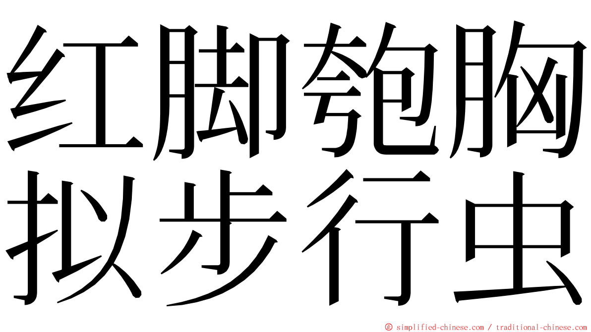 红脚匏胸拟步行虫 ming font