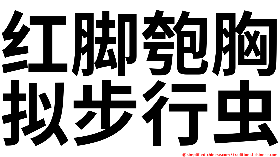 红脚匏胸拟步行虫