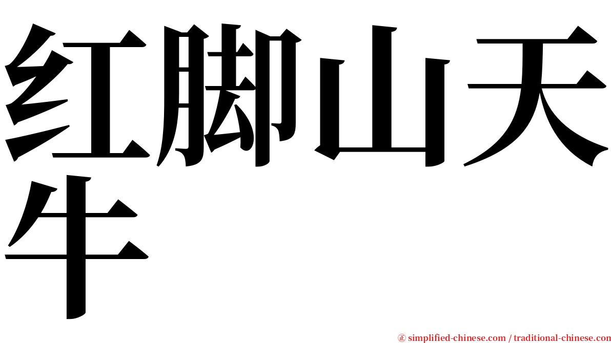 红脚山天牛 serif font