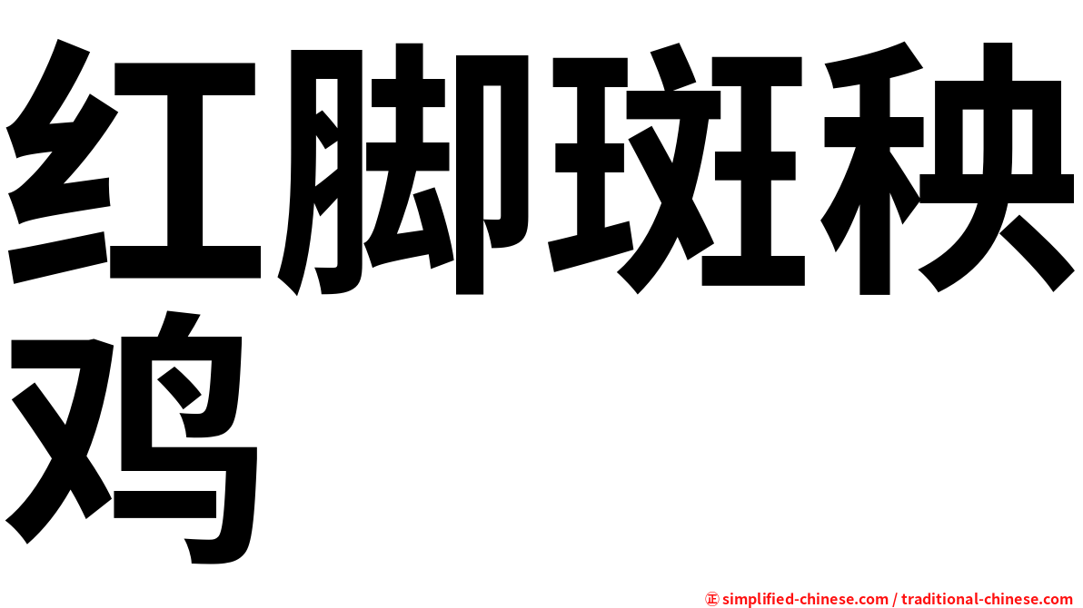 红脚斑秧鸡