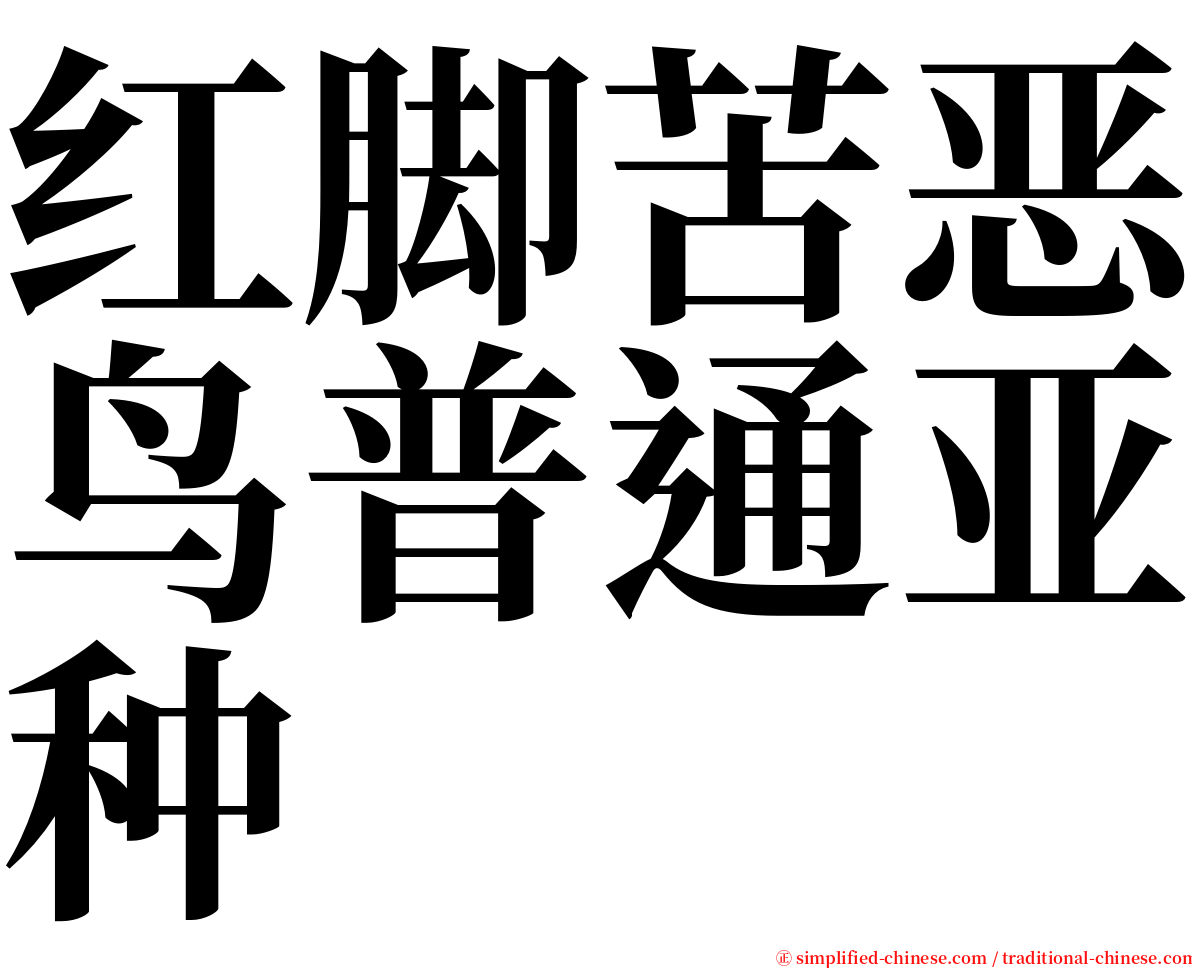 红脚苦恶鸟普通亚种 serif font