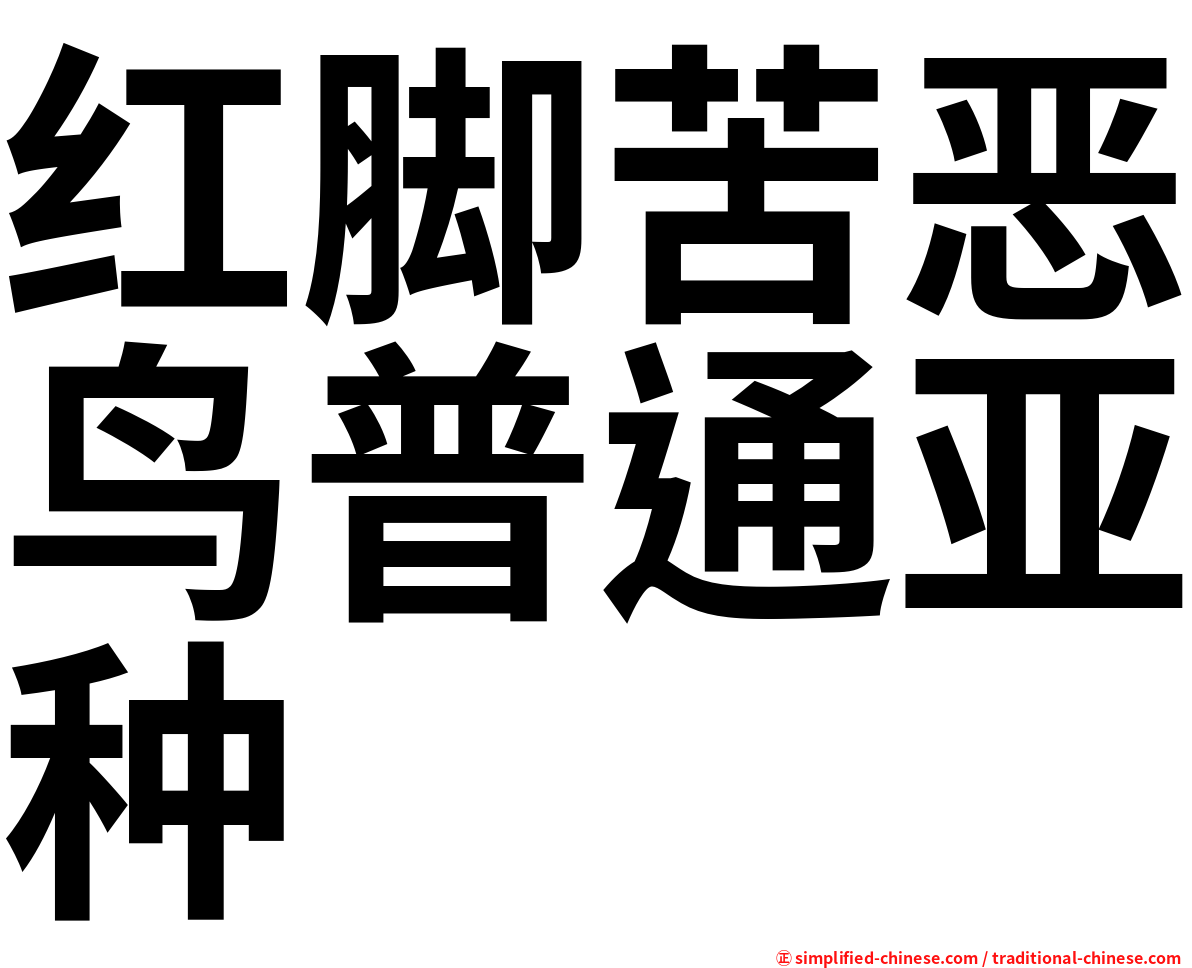红脚苦恶鸟普通亚种