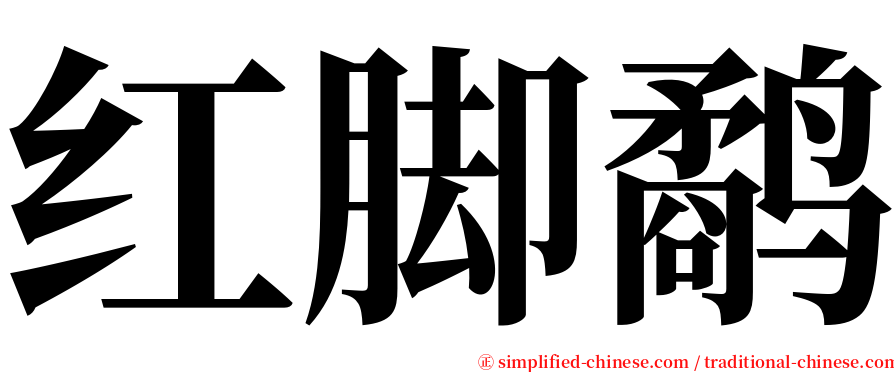 红脚鹬 serif font