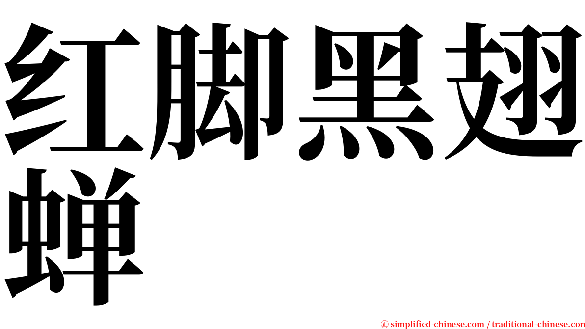 红脚黑翅蝉 serif font