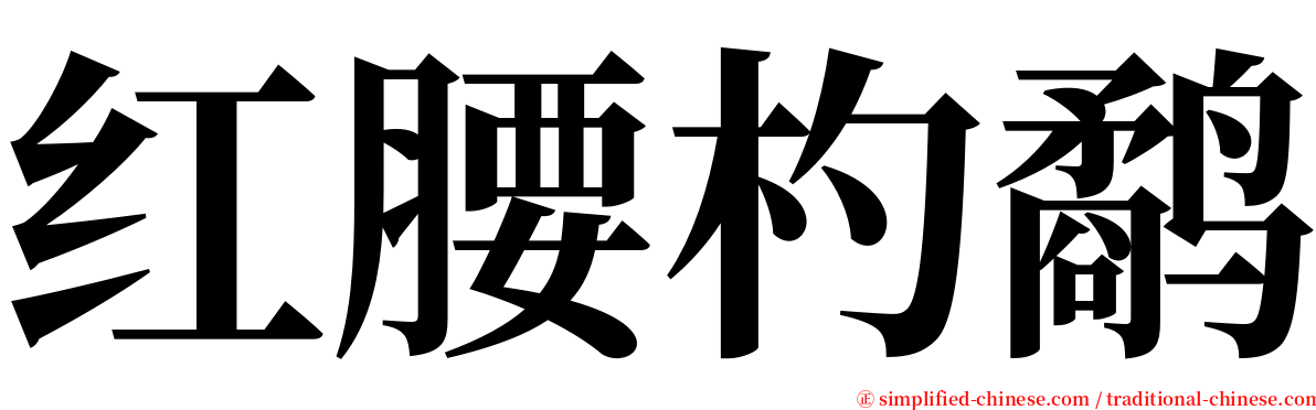 红腰杓鹬 serif font