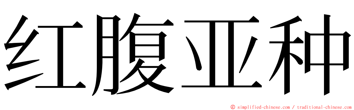 红腹亚种 ming font