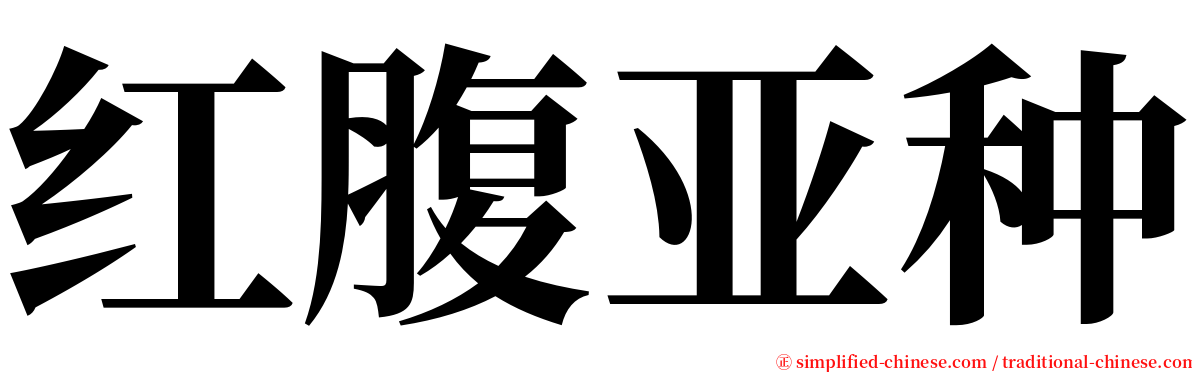 红腹亚种 serif font