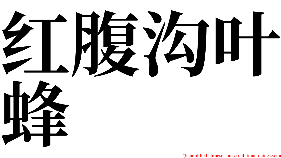 红腹沟叶蜂 serif font
