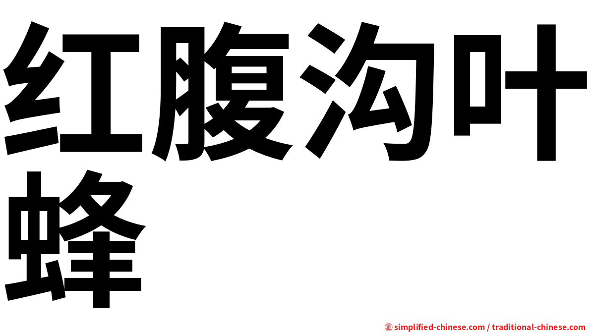红腹沟叶蜂