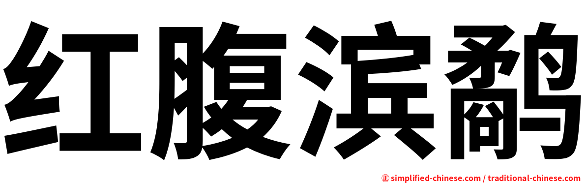 红腹滨鹬