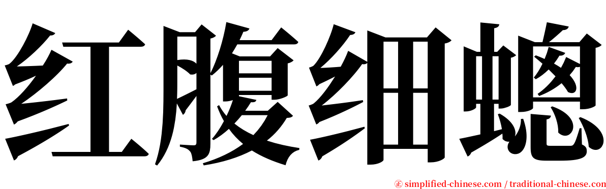 红腹细蟌 serif font
