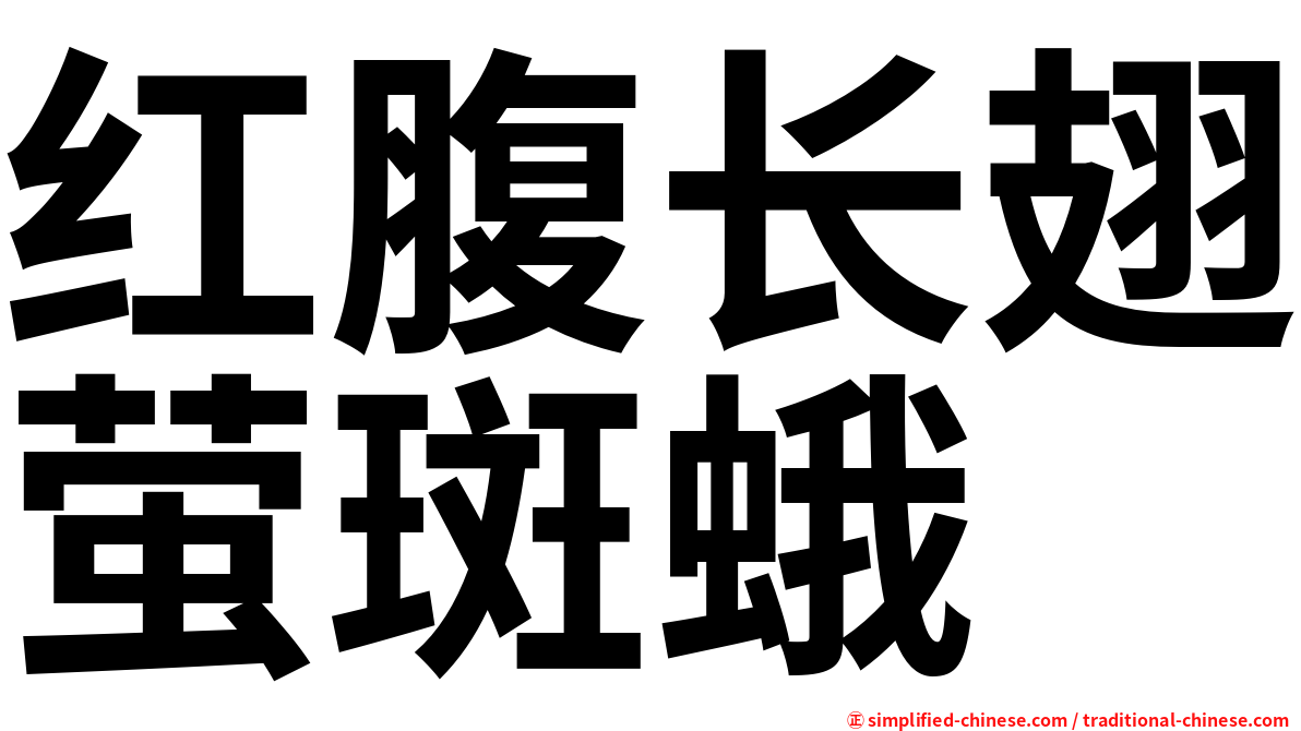 红腹长翅萤斑蛾