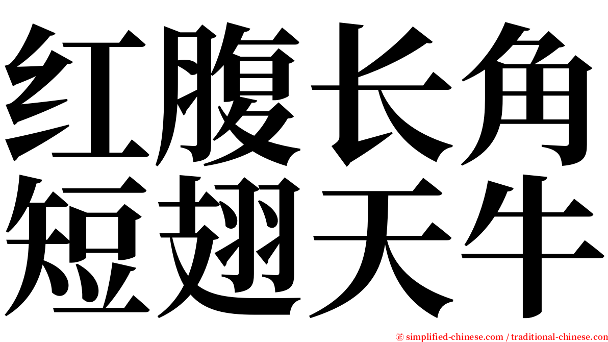 红腹长角短翅天牛 serif font