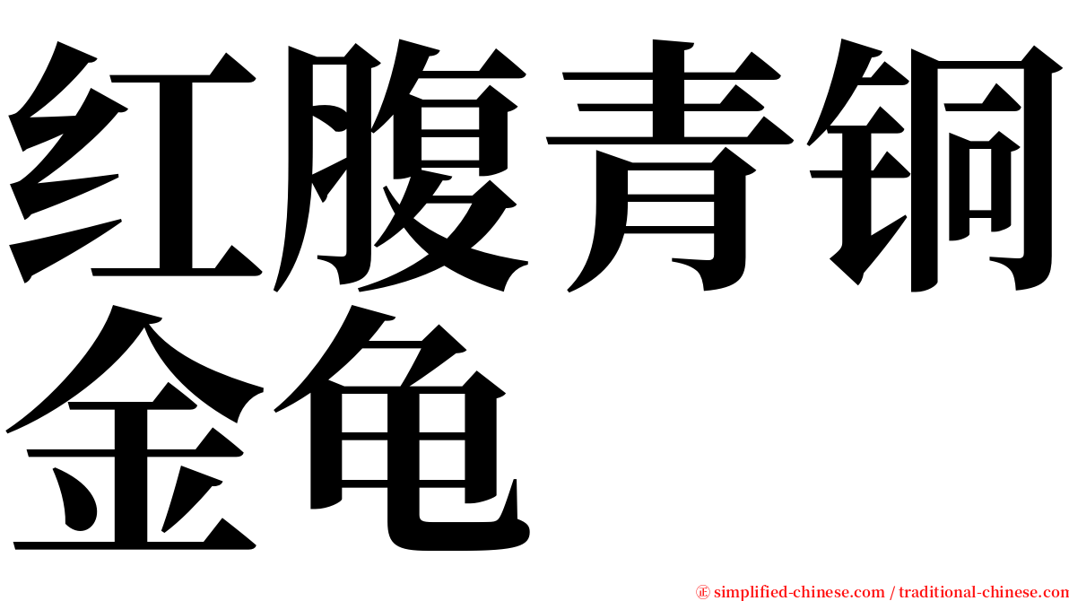 红腹青铜金龟 serif font