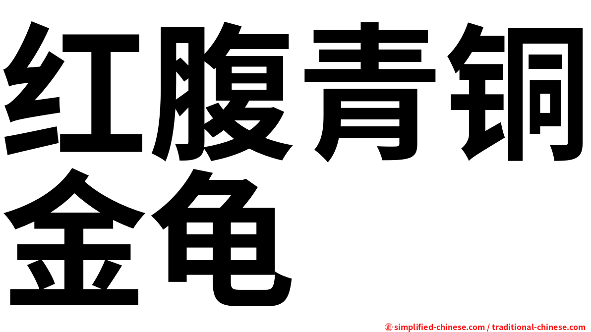 红腹青铜金龟