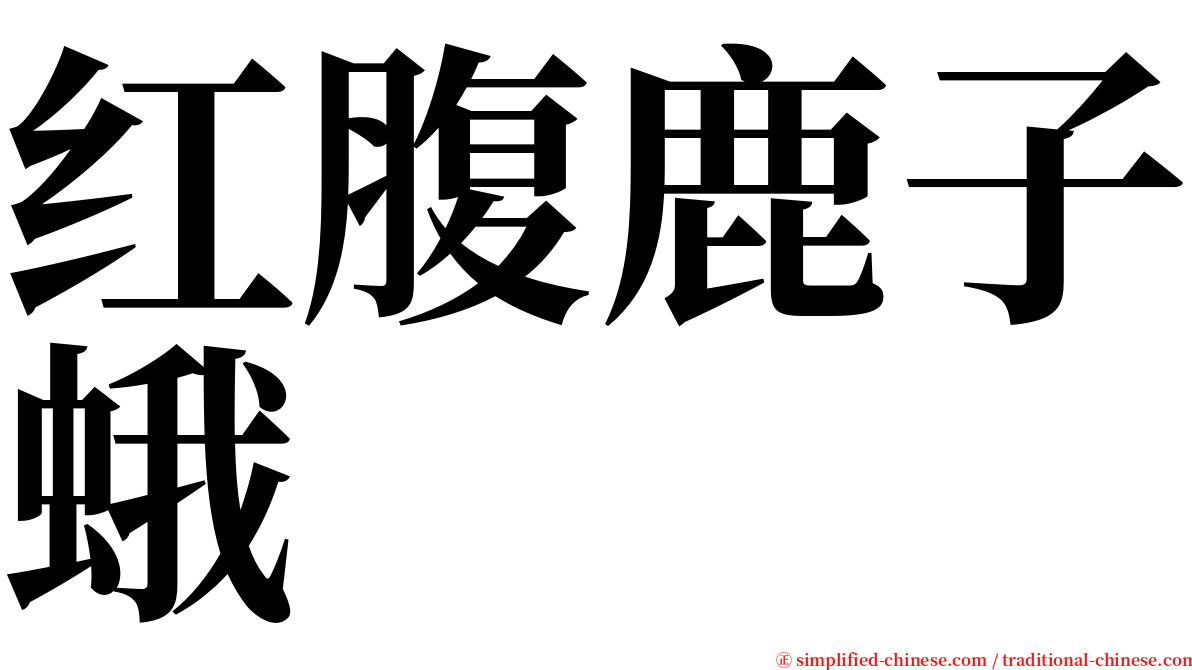 红腹鹿子蛾 serif font
