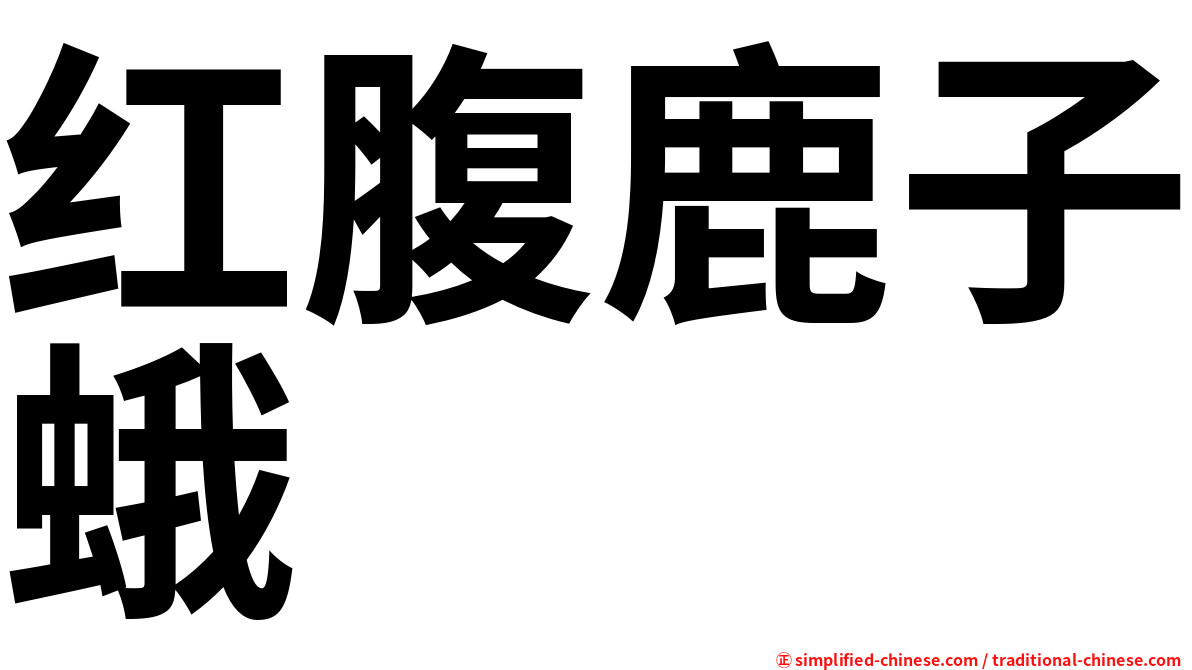 红腹鹿子蛾